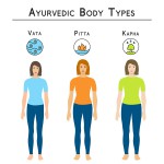Ayurvedic body types