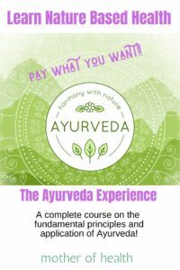 the ayurveda experience