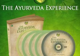 The Ayurveda Experience Program, personal review The Ayurveda Experience Program