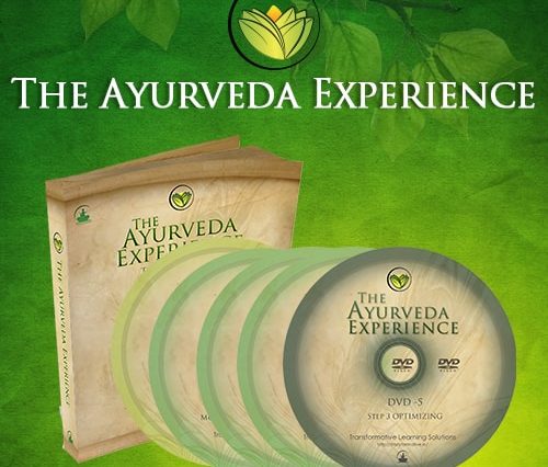 The Ayurveda Experience Program, buy The Ayurveda Experience Program, review The Ayurveda Experience Program, personal review The Ayurveda Experience Program