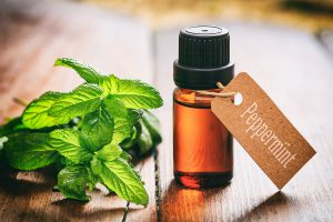 best essential oils for congestion