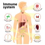 low immune system system