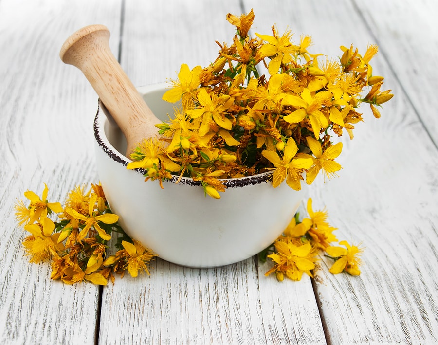 best herbs for anxiety