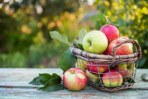 apples for fall nutrition (image)