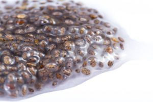 the health benefits of chia seed