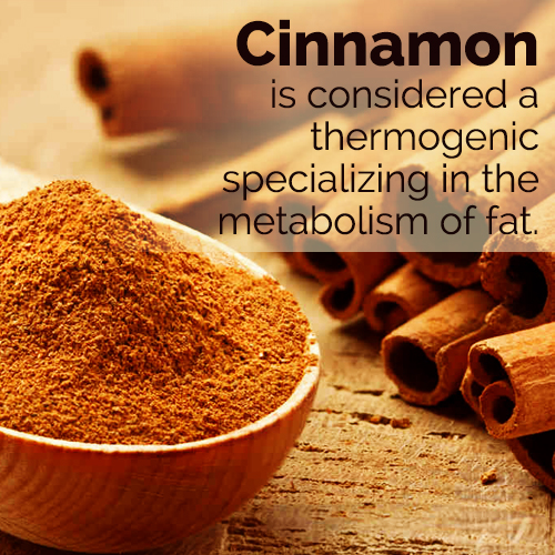 what are the benefits of cinnamon