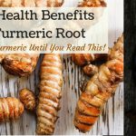 The benefits of turmeric root