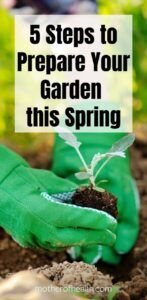 preparing your garden in spring