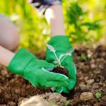 21 gardening tips