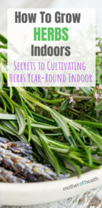 how to grow herbs indoors