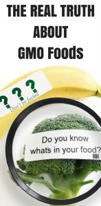 what are GMOs
