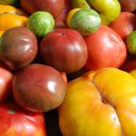 how to grow tomatoes in containers