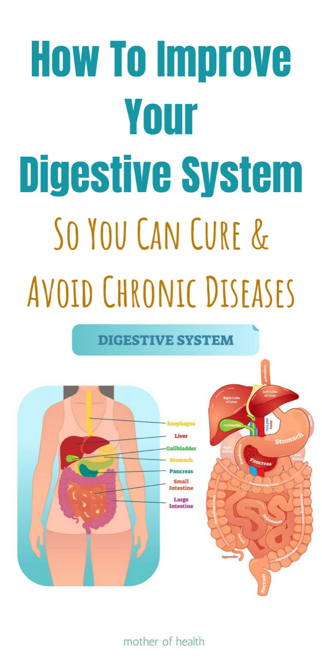 How To Improve Digestive Health | Mother Of Health