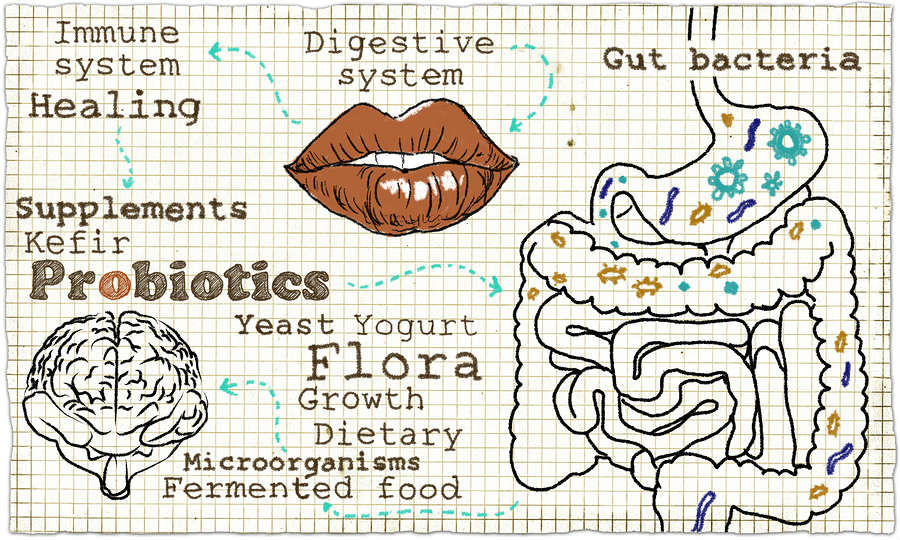 how to improve digestive health