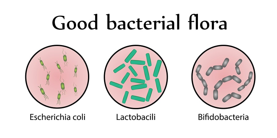 how to improve digestive health