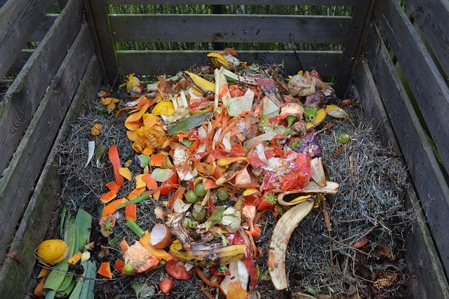how to start a compost bin