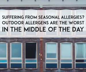 natural remedies for spring allergies