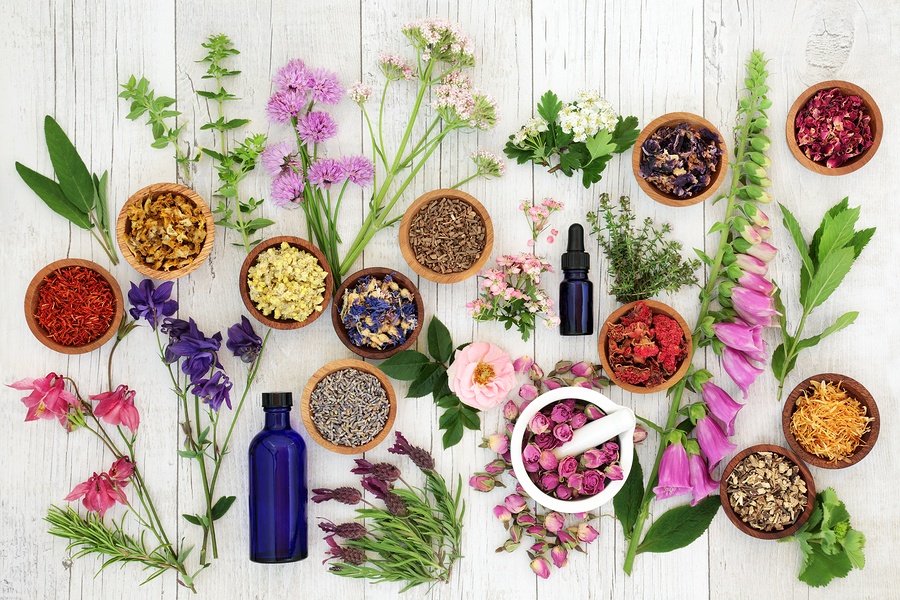herbal medicine vs pharmaceutical medicine