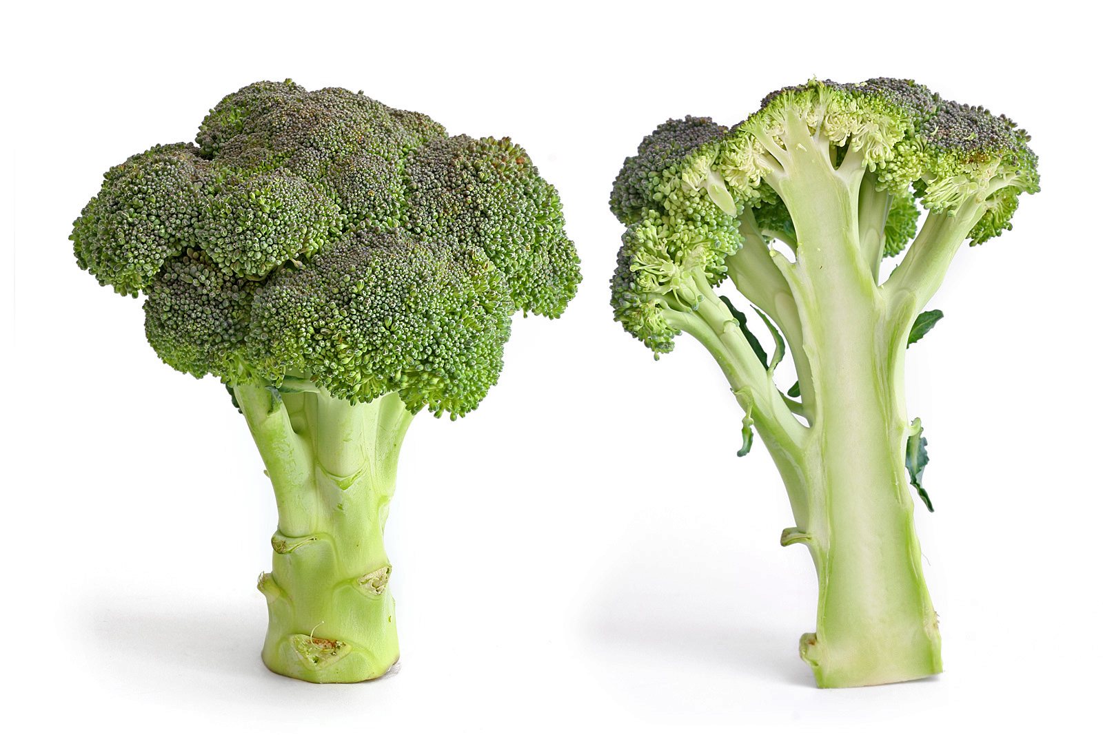 What are the broccoli health benefits, 7 health benefits of broccoli,health benefits of broccoli?