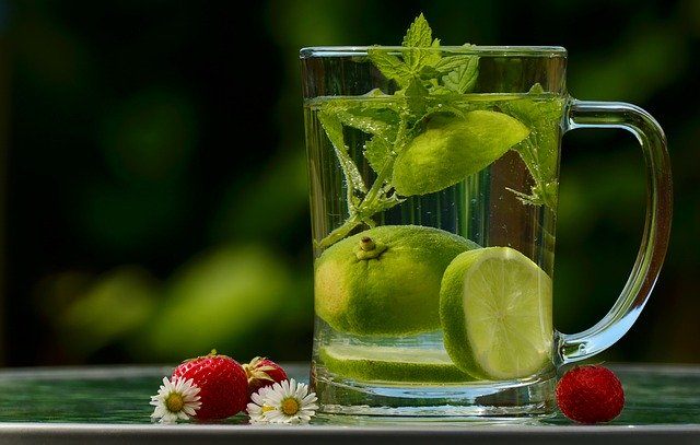lemon balm is calming herbs for chldren (image)