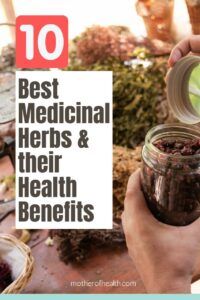 best medicinal herbs