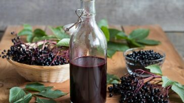 the health benefits of elderberry syrup