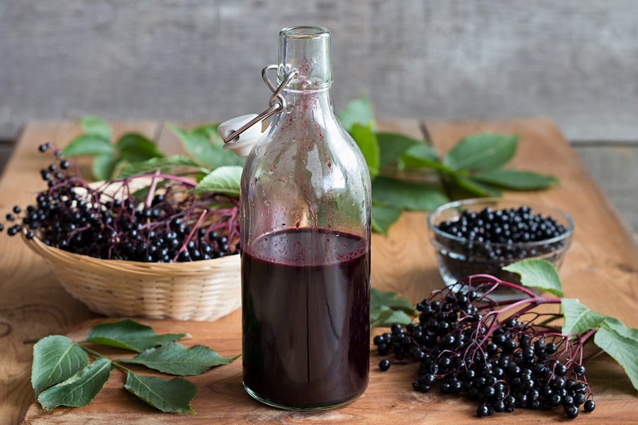 the health benefits of elderberry syrup