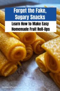 make homemade fruit roll-ups
