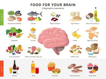 Foods That Improve Brain Function, Memory and Concentration | Mother Of ...