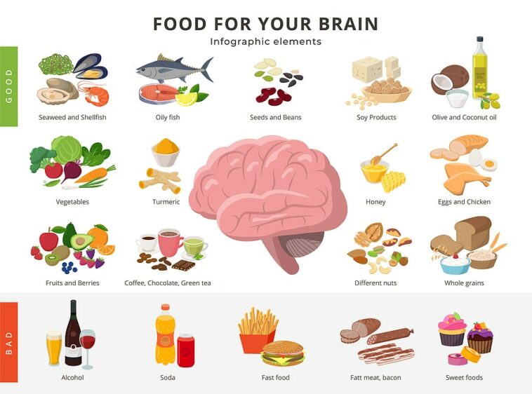 Foods That Improve Brain Function Memory And Concentration Mother Of Health