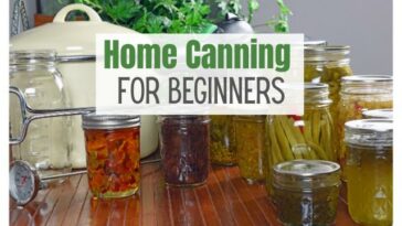 home canning for beginners