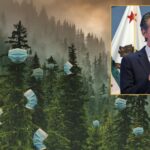 Governor Newsom orders all trees to mask up to prevent spread of wildfires in California