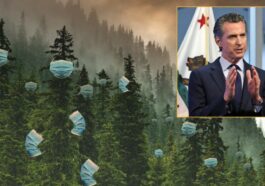 Governor Newsom orders all trees to mask up to prevent spread of wildfires in California