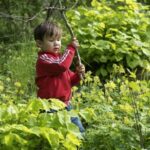 boost children immunity letting them play in dirt