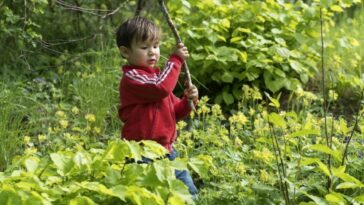boost children immunity letting them play in dirt