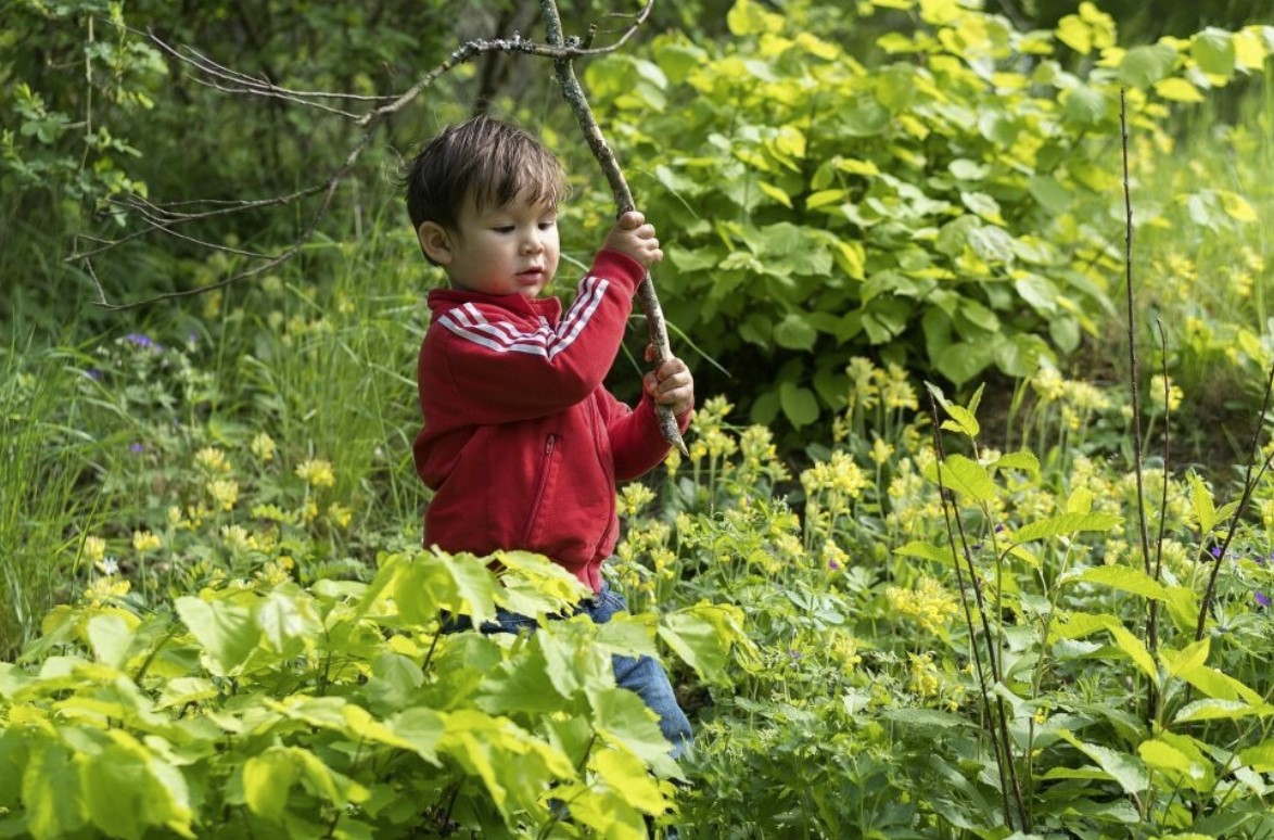 boost children immunity letting them play in dirt