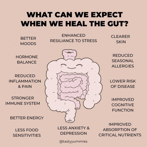 Why is gut health so important?, gut health