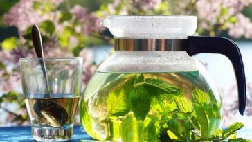 healthiest herbal tea