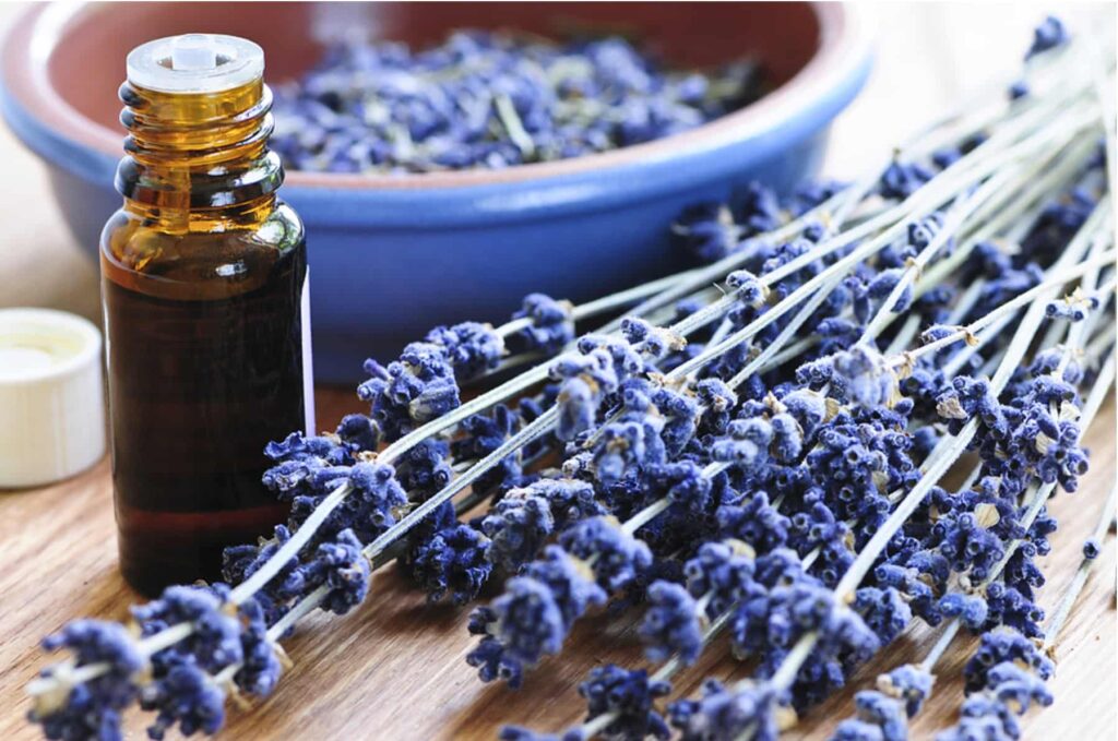Lavender essential oil for allergies