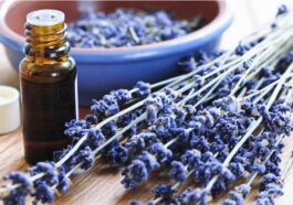 lavender calming herb for children (image)