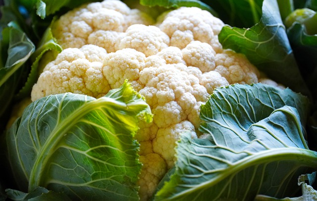 cauliflower for fall nutrition (image)