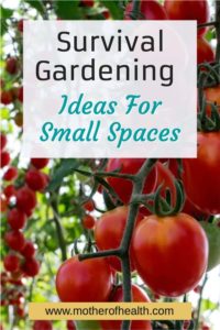 Pinterest Pin -Survival gardening ideas for small spaces
