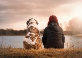 how pets can improve your holistic well-being