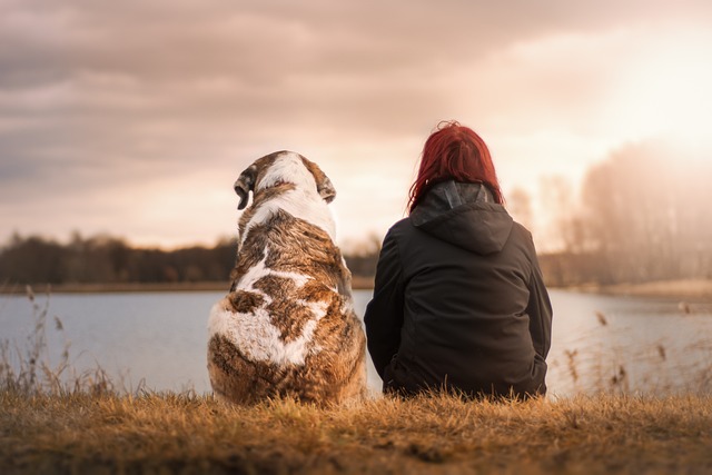 how pets can improve your holistic well-being