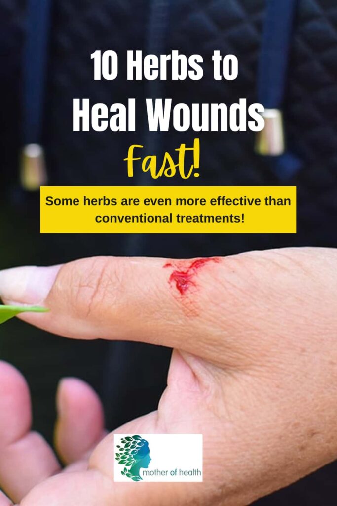 herbs that heal wounds fast