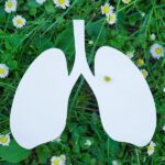 herbs for lung health