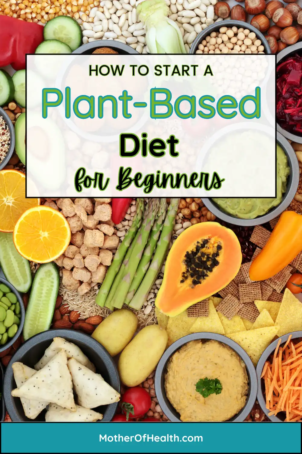 plant based diet for beginners Pinterest Pin (image)