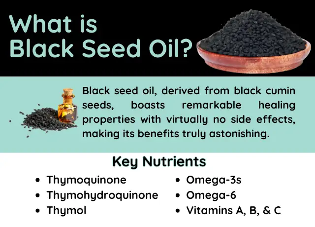 black seed oil infographic